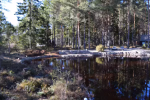 39f3eb64 Ece3 48da 964b 2f79fddac3cb 2 300x200