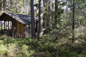 5f020342 B4d4 44de B795 09dc6b02aac6 2 300x200