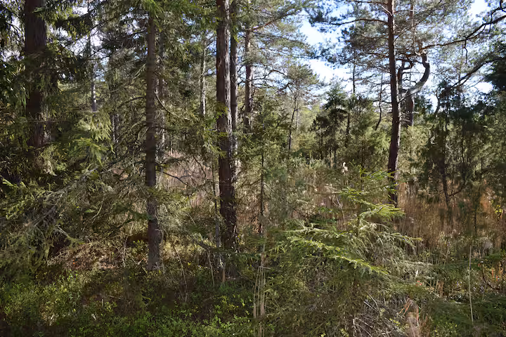 D313da4e 1cc0 4050 Aa15 80d1a49dcd96 2